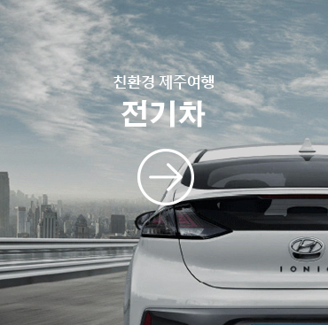 전기차